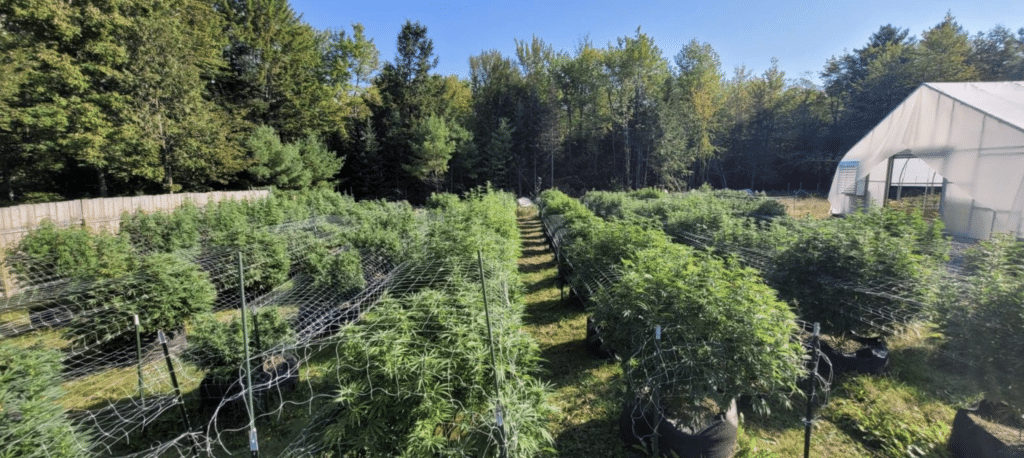ReMaine Humble Farms Grand Opening